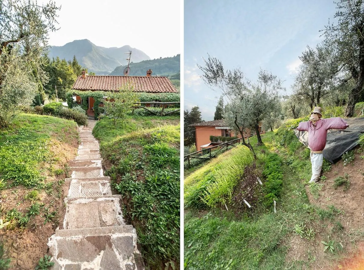 Casetta Di Butia, Ginestra Apartment With Swimming Pool Borgo a Mozzano