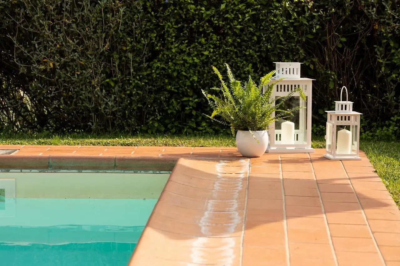 Casetta Di Butia, Ginestra Apartment With Swimming Pool Borgo a Mozzano